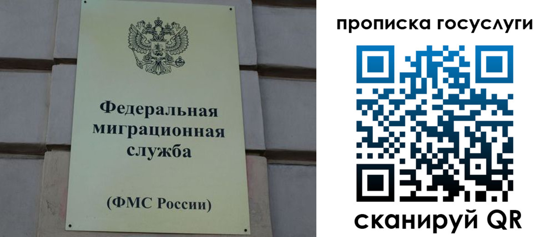 прописка ребенка в Струнино